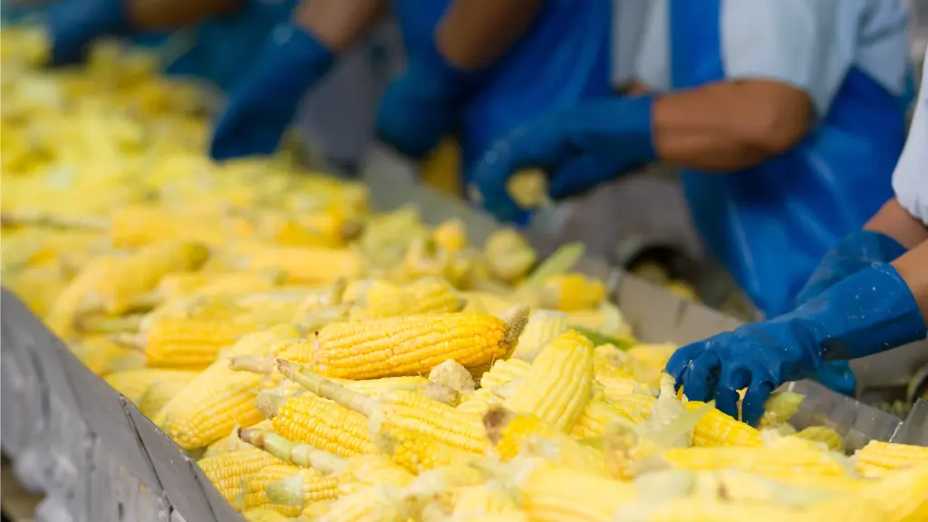 Apa Itu PIRT? Penjelasan Lengkap dan Manfaatnya