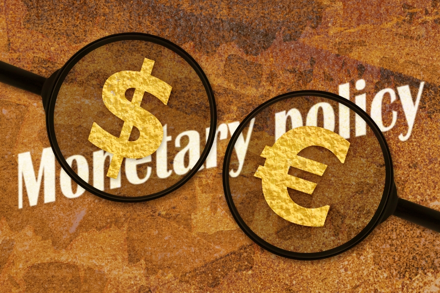 pengaruh kebijakan moneter terhadap PT PMA